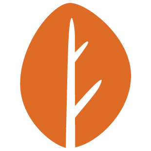 connectplayfun.com favicon